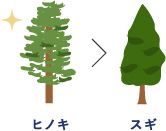 スギよりヒノキの方が比重が高い