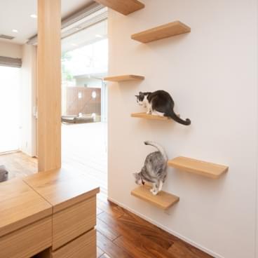 ペットと暮らす