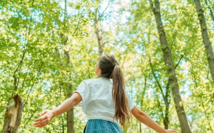 日差しの差し込む森林で手を広げて深呼吸する女性