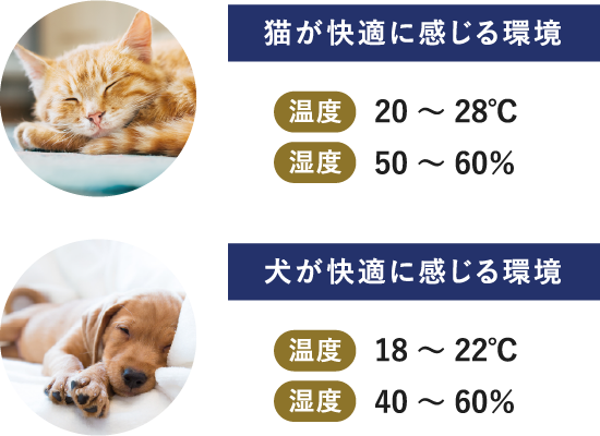 ペットが快適に感じる環境