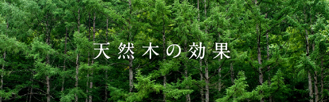 天然木の効果
