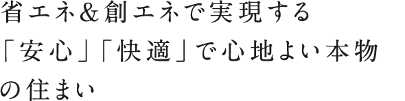ゼロエネルギーハウス