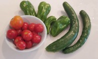 夏野菜収穫！