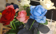 第94回：夢かなう