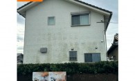 自分でできる外壁の緑汚れのお掃除方法