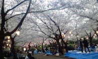 祝！黒川東展示場　木にな～るブログ♪