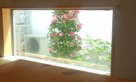 植林ツアー２０１４