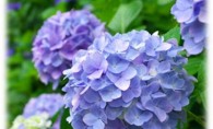 ☆夏日☆岡崎展示場ブログ③