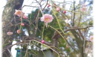 とびだせ！鶴舞公園＠黒川展示場