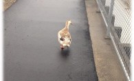 木材センターより　木にな～るはなし⑧