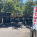 観光ヤナ🐟