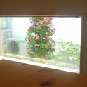 岡崎展示場ブログ②