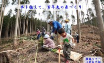 天然木の家に興味のある方必見！<BR>植林ツアー2017 in 東白川村