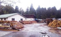 第5回：東白川製材協同組合訪問