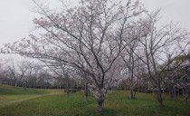 第70回：空気がうまい。
