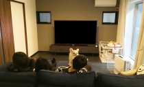 防火地域に建つ「木造耐火構造」の3階建て住宅