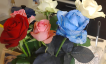 第94回：夢かなう