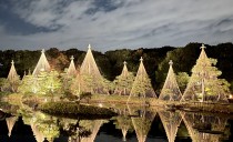 「白鳥庭園」紅葉ライトアップイベント開催中！この季節だけ出会えるこの景色