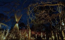 飛島村に静かで優しい灯りが出現<br>竹あかり「Tobishima Lights（とびしまらいつ）」開催中！