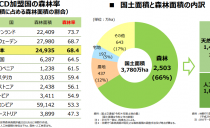 第110回：木材輸出とブランド化