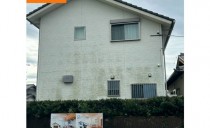 自分でできる外壁の緑汚れのお掃除方法