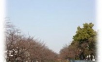 祝！黒川東展示場　木にな～るブログ♪