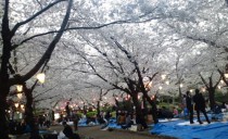 日進展示場より　【木にな～る香り】