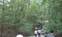 残暑御見舞い＠岡崎