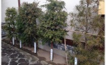 木材センターより　木にな～るはなし④