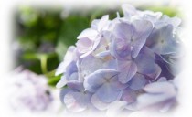 7月！＠岡崎展示場