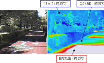木材センターより　木にな～るはなし⑩