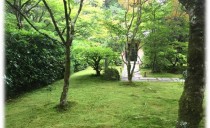 設計部の社員で京都にいってきました！