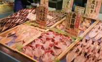朝獲れ鮮魚を直送！展示場横のオススメスポット