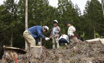 第11回：植林バスツアーのご案内