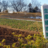 第69回：生産緑地2022年問題とクラインガルテン