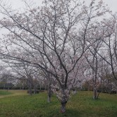 第70回：空気がうまい。