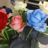 第94回：夢かなう