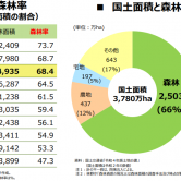 第110回：木材輸出とブランド化