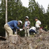 第11回：植林バスツアーのご案内