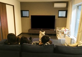防火地域に建つ「木造耐火構造」の3階建て住宅