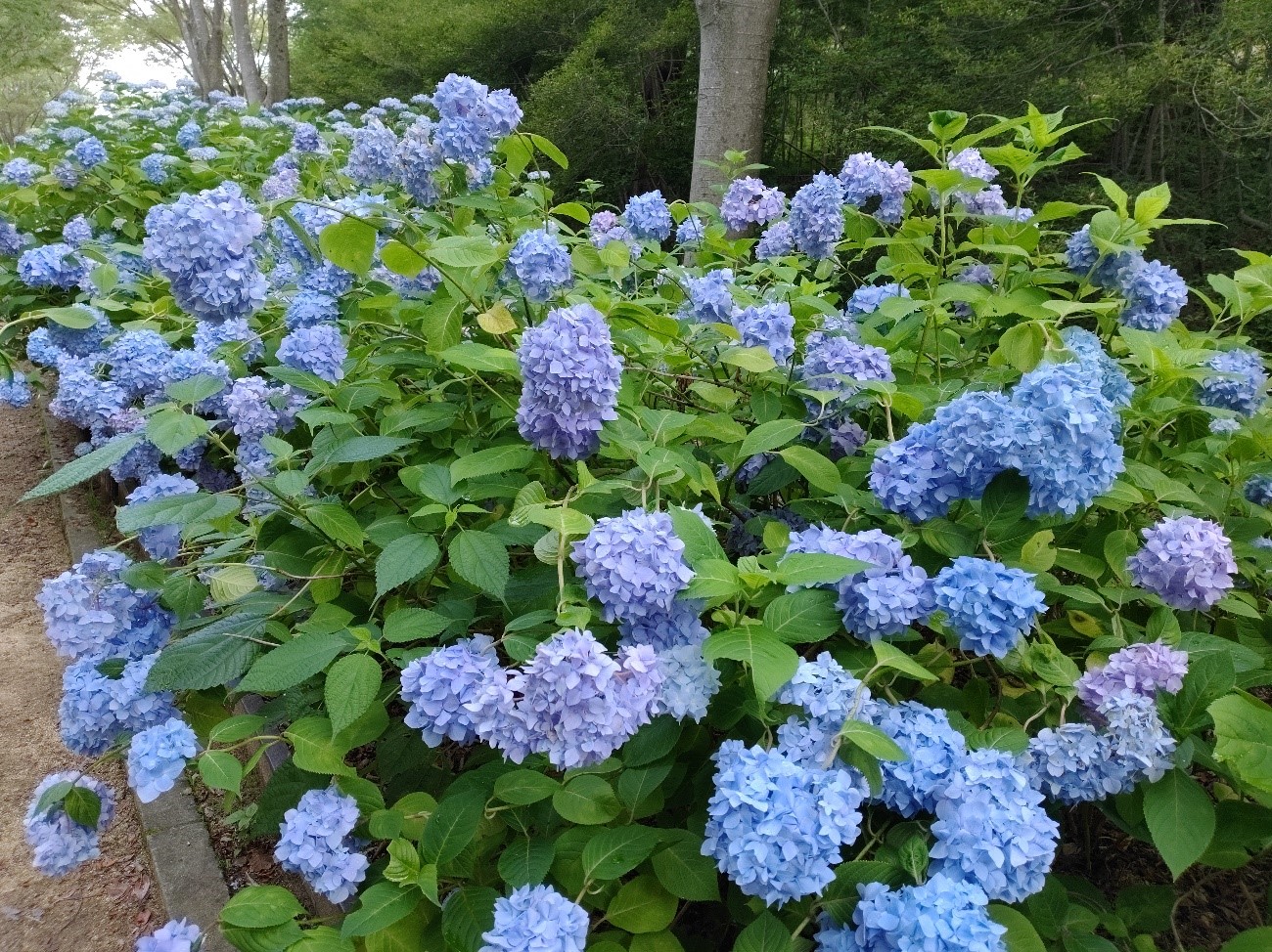 ２