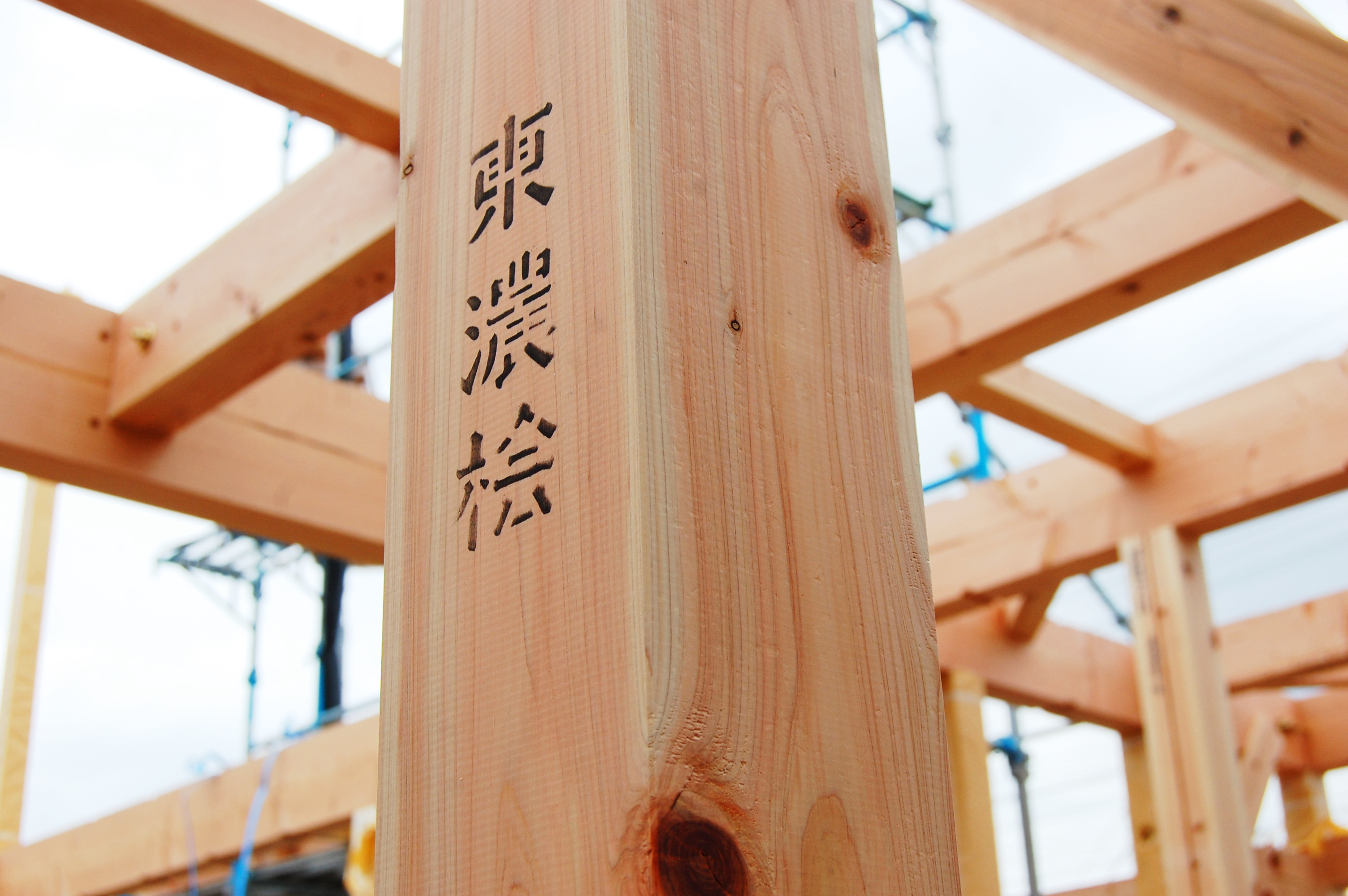 image1加工