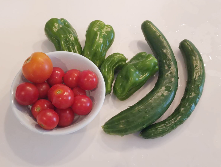 夏野菜収穫！