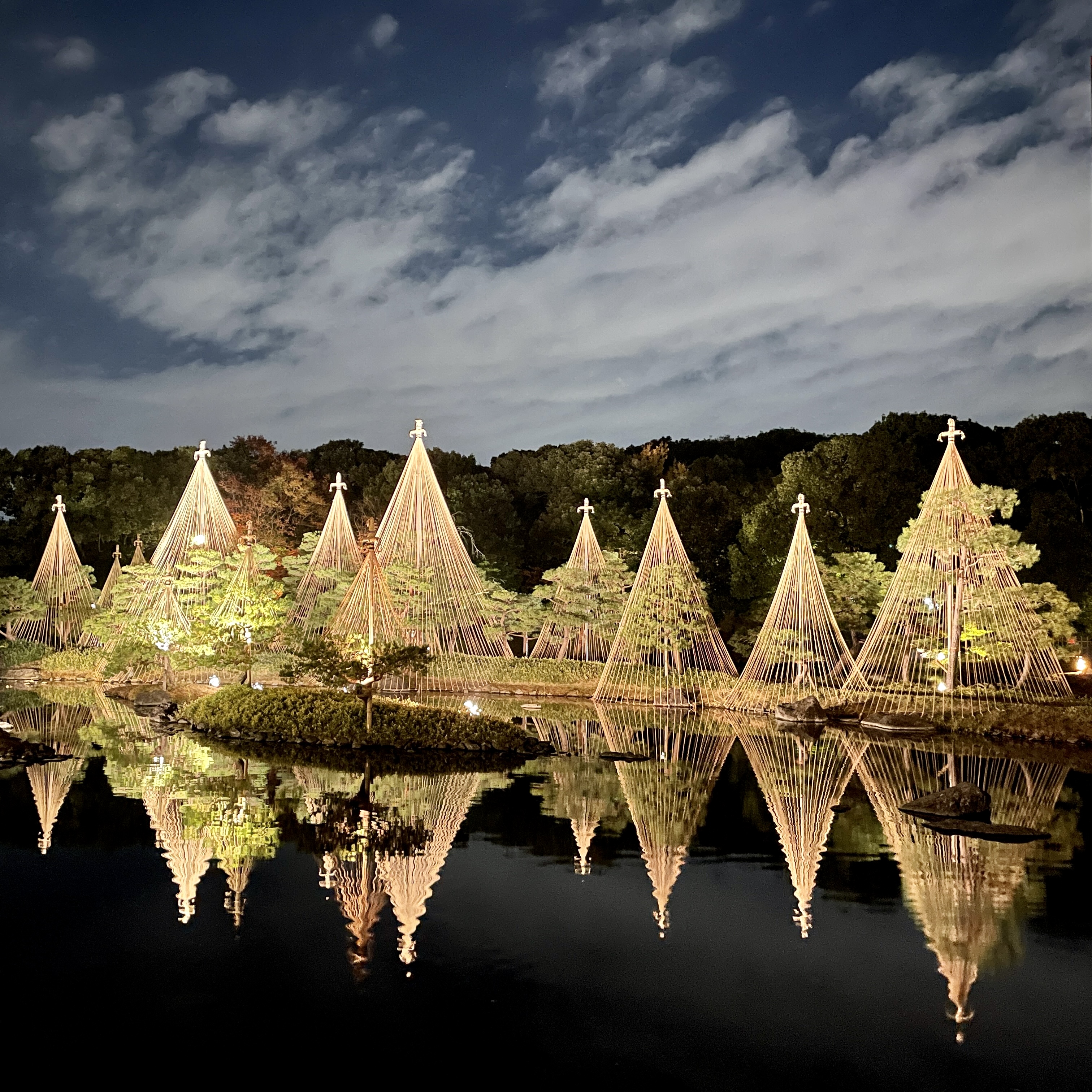 「白鳥庭園」紅葉ライトアップイベント開催中！この季節だけ出会えるこの景色