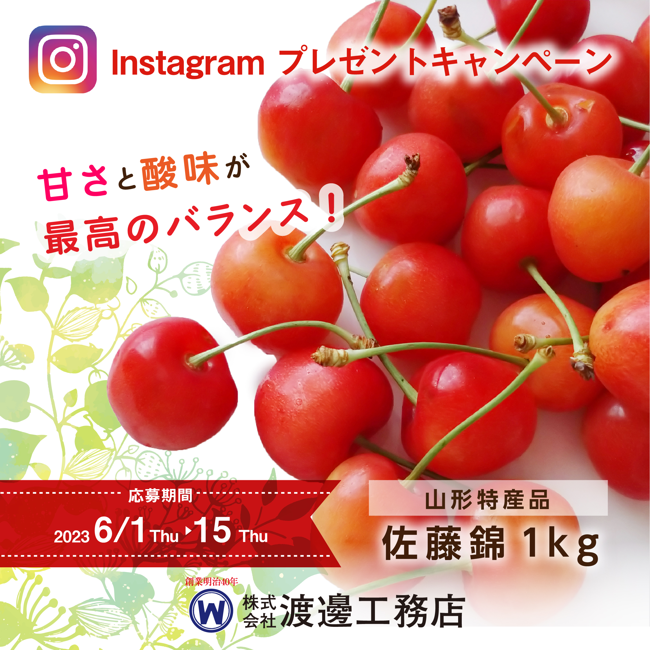 Instagram「フォロー＆いいね！」で<br>プレゼントキャンペーン
