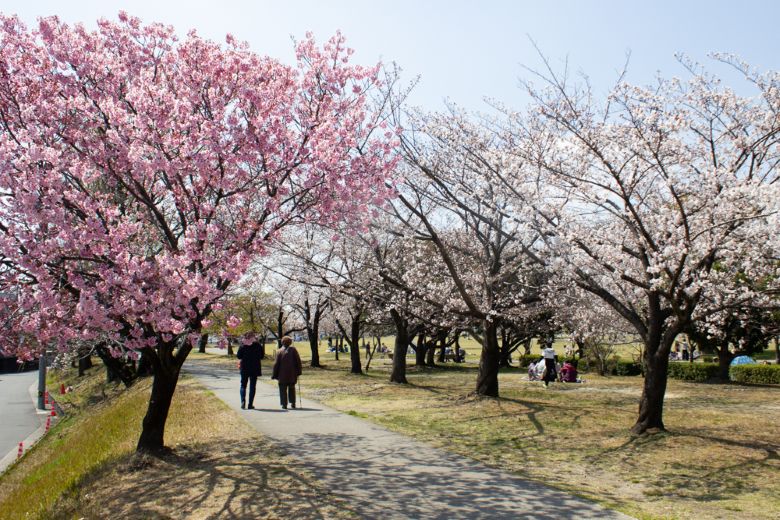 【2026年最新】光熱費ゼロは当たり前？<BR>春日井で建てる「最新ZEH」と「防災住宅」