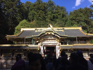 IMG_0117