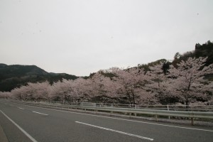 IMG_0919